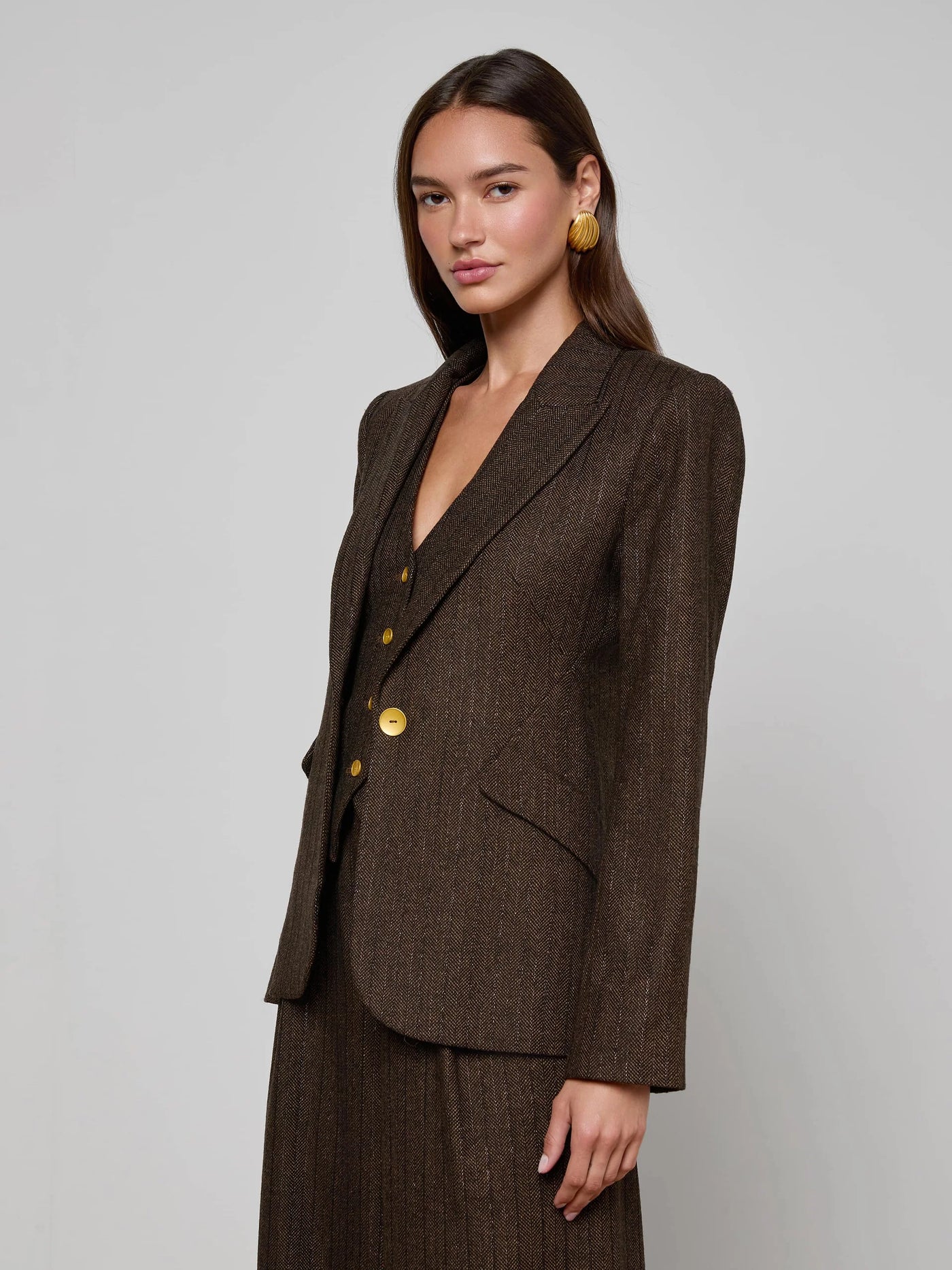 Chamberlain Pinstripe Blazer in Brown/Bronze