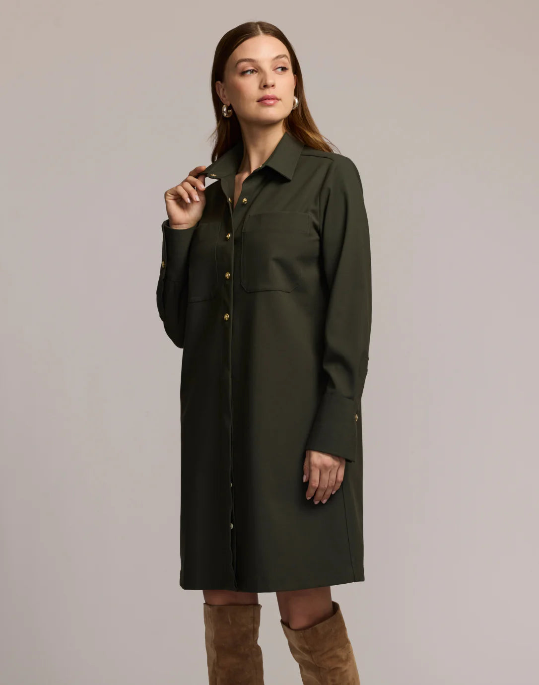 Astrid Long Sleeve Traveler's Twill Dress in Oregano