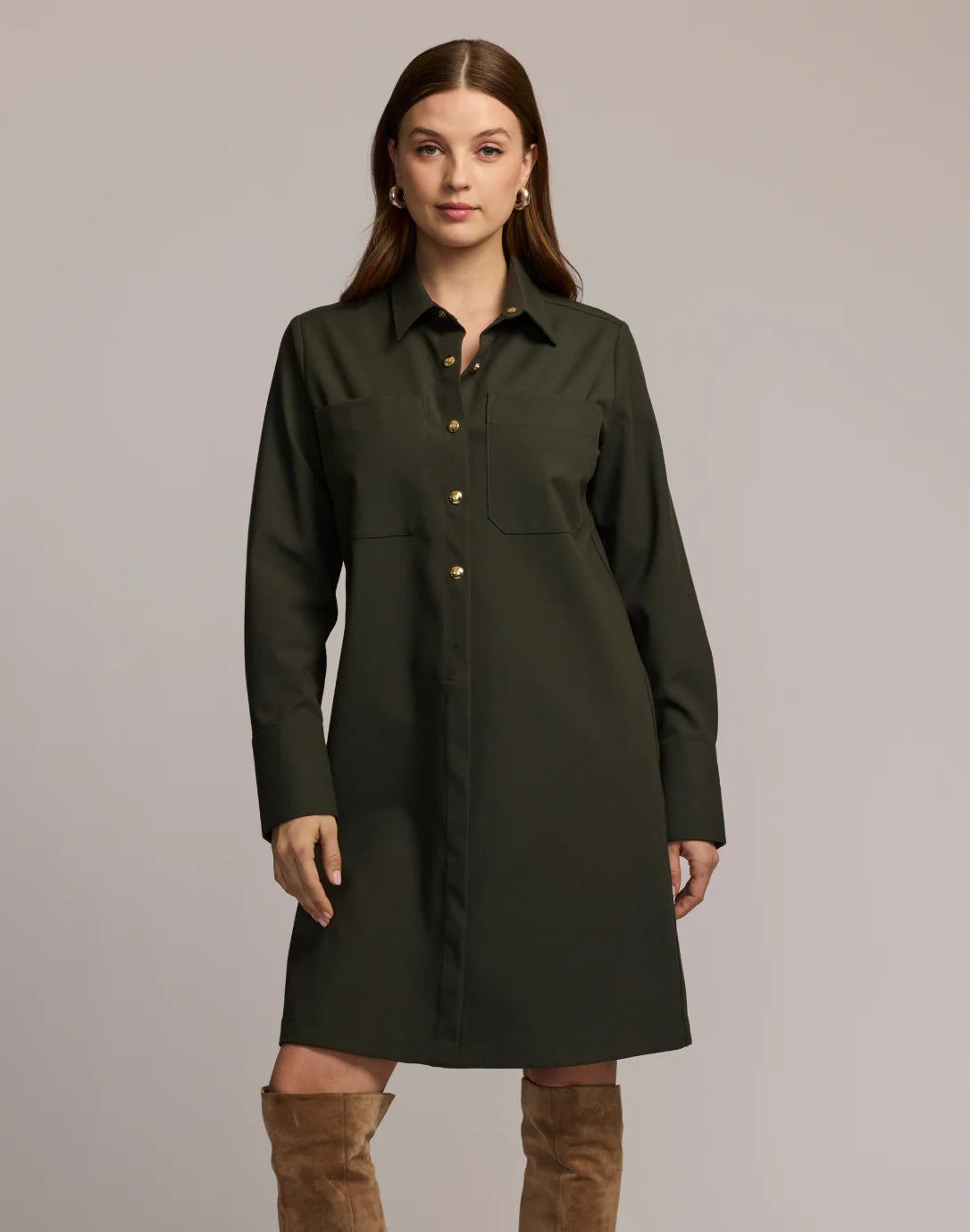 Astrid Long Sleeve Traveler's Twill Dress in Oregano