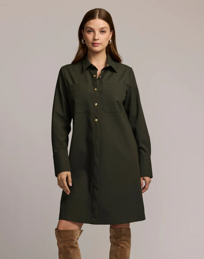 Astrid Long Sleeve Traveler's Twill Dress in Oregano
