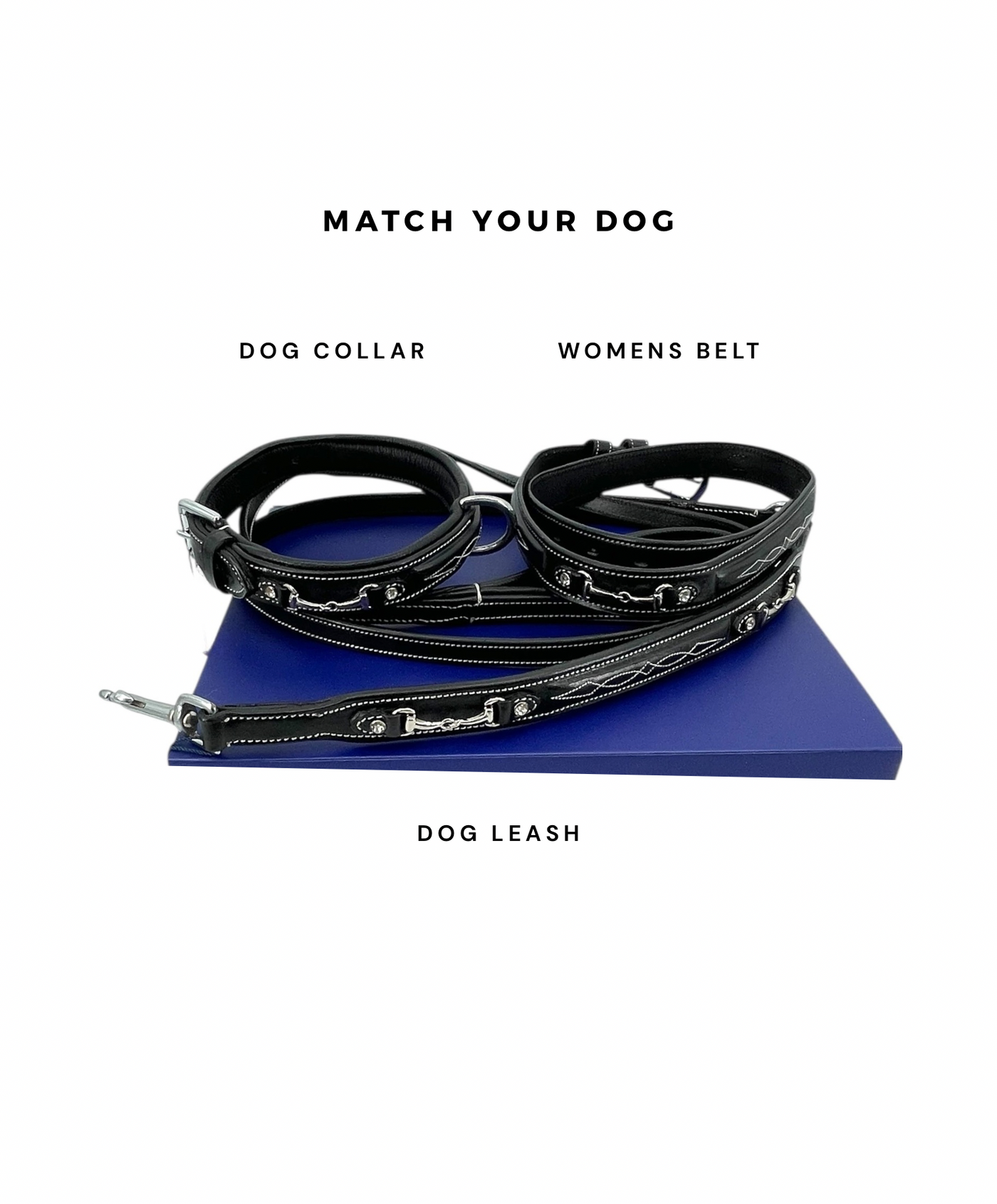 Padded Dog Collar in Full Grain Leather w/ Horse Bits