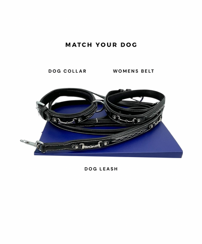 Padded Dog Collar in Full Grain Leather w/ Horse Bits