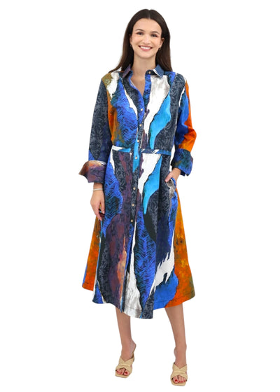 Long Sleeve Button Down Printed Dress in Cobalt Multi