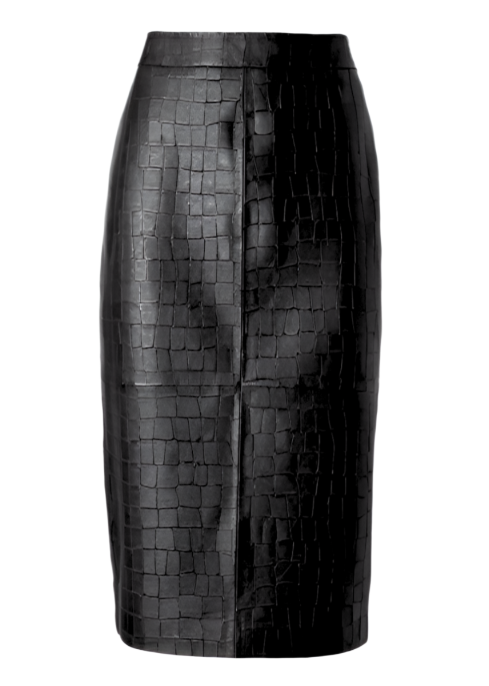 Croco Pencil Skirt in Black