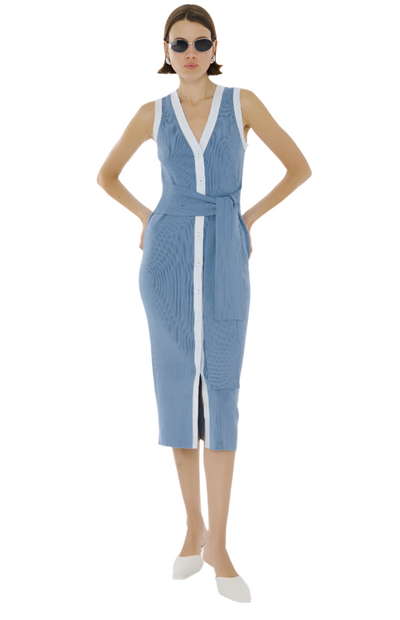 Victoria Button-Front Midi Dress in Steel Blue/Ice Blue