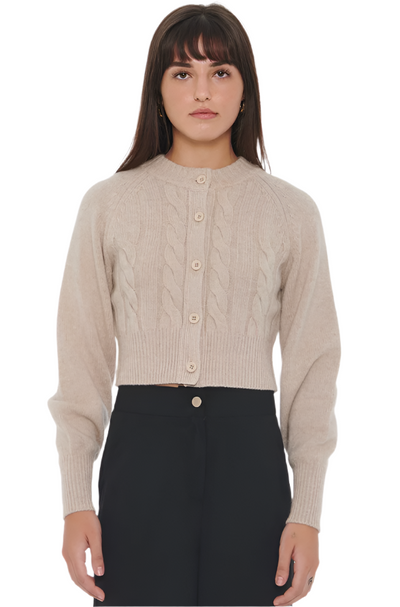 Rita Cable Knit Cashmere Cardigan in Beige Melange