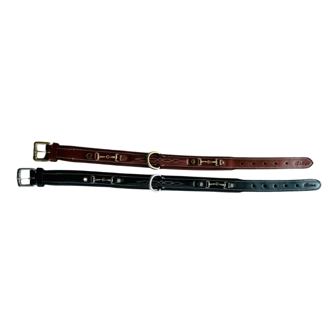 Padded Dog Collar in Full Grain Leather w/ Horse Bits
