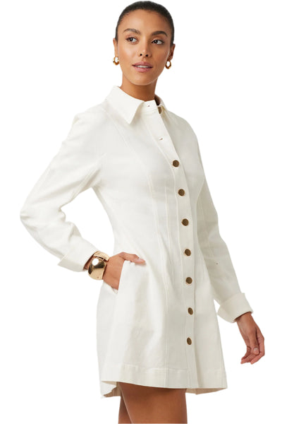 Alexa Denim Seamed Mini Dress in Ivory